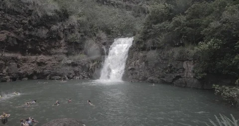 Hawaii Waterfall Video stock 89560410