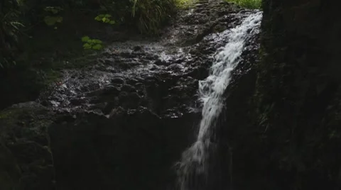 Hawaii waterfall maunawilli 動画素材 8370197