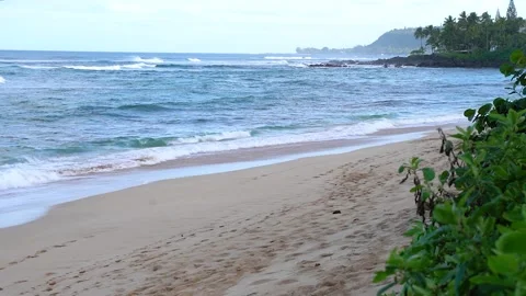 Hawaii Waves on the beach Slow Motion Vidéo 151808230