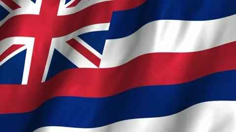 Hawaii Waving Flag Stock Footage