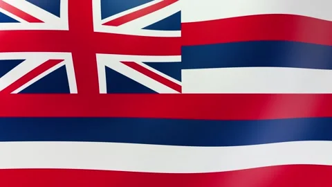 Hawaii Waving flag Stock Footage 297498229