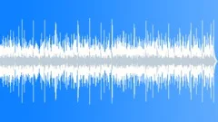 Hawaiian - Afternoon Nap No 04 - Mellow Hawaiian Swing 338 D 110 bpm Stock Music