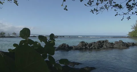 A hawaiian beach 1 Stock Footage 136711954