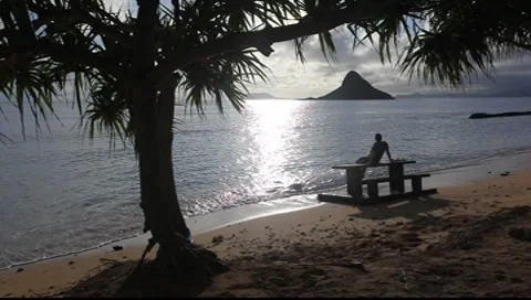 Hawaiian Beach Video stock 8555500
