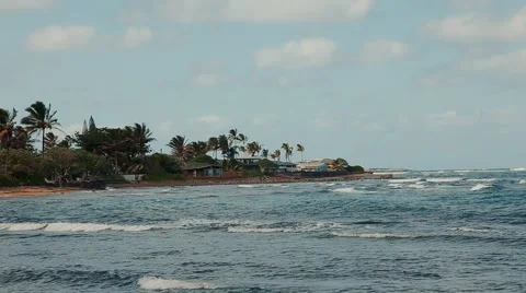 Hawaiian Beach Video stock 42743066