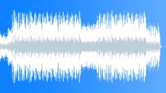 Hawaiian beachStock Music