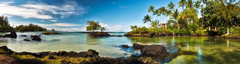 Hawaiian beach with palms and green turtles, panorama Stock Photos