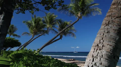 Hawaiian Beach scene Stock Footage 25243450