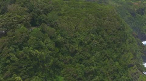 Hawaiian Cliffs Stock Footage 56244341