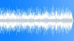 Hawaiian Country Swing Bluegrass Stock Music