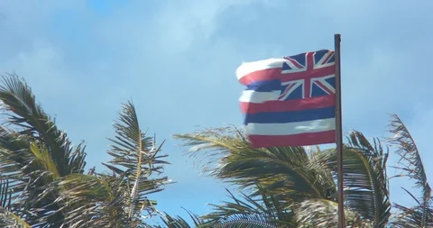 Hawaiian Flag Blowing in the Wind in Front of Palm Trees Stock Footage