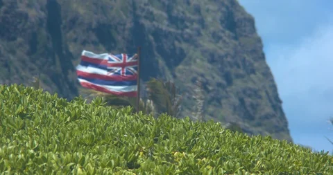 Hawaiian Flag Blowing in the Wind in Front of Palm Trees in Slow Motion Stock Footage 104457213