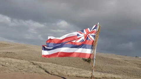 HAWAIIAN flag flapping in wind Hawaii shot Stock Footage