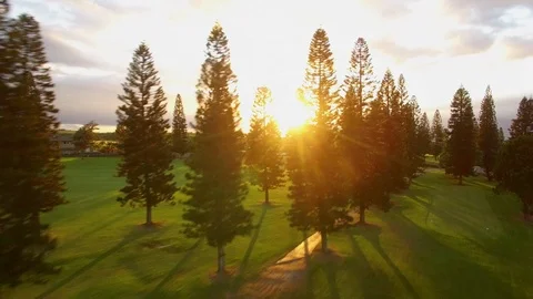 Hawaiian Golf course sunset Aerial Stock Footage