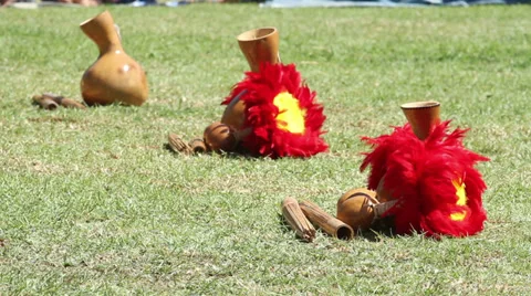 Hawaiian  Gourds Stock-Footage 30668778