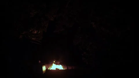 Hawaiian imu fire pit burning under a mango tree at night. Traditional Stock Footage 344239184
