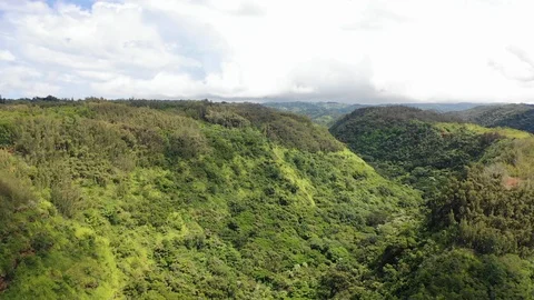 Hawaiian Landscape Drone Shot Video stock 105318853