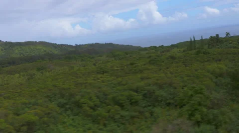 Hawaiian Landscape Stock Footage 54586661