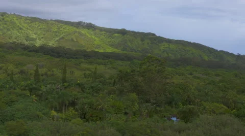 Hawaiian Landscape Stock Footage 54586939