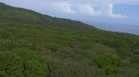 Hawaiian Landscape Stock Footage 56241073