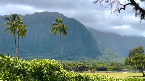 Hawaiian landscape Stock Footage 259834707