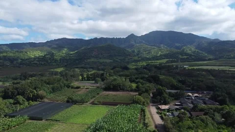 Hawaiian Landscape Push Stock Footage 259829534