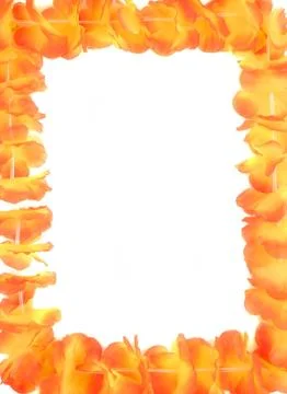Hawaiian lei frame 库存插图