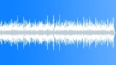 Hawaiian - Mahalo No 03 - EZ Island Ballad 338 C 110 bpm Stock Music