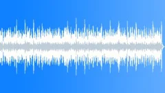Hawaiian - Mahalo No 06 - EZ Island Ballad 338 F 110 bpm Stock Music