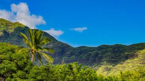 Hawaiian Mountain landscape Stock Photos