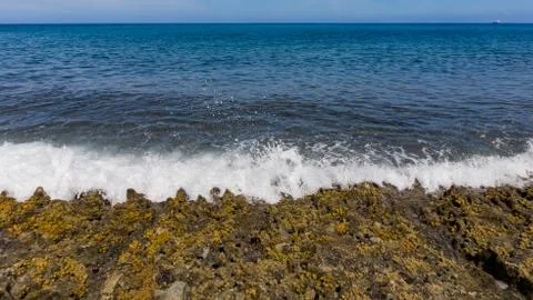 Hawaiian Ocean Reef Stock Photos