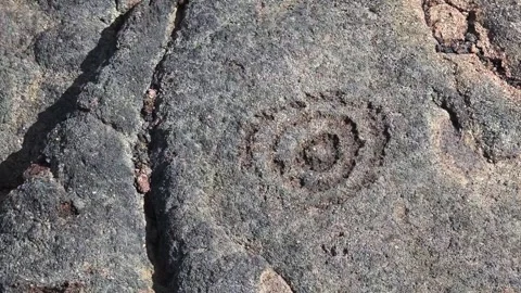 Hawaiian Petroglyph Stock Footage 138174631