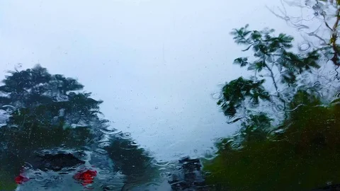 Hawaiian Rain Stock Footage 122765608