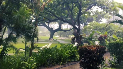 HAWAIIAN RAINFALL Stock Footage 96544756