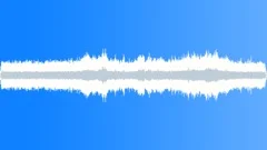 Hawaiian Ranch Birds and Ambience Sound Effect