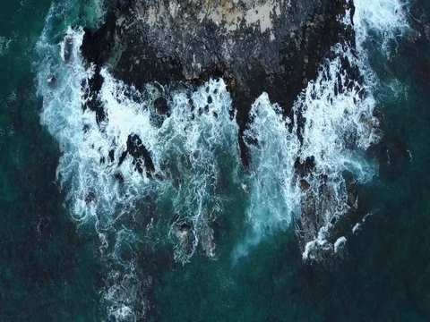 Hawaiian Reef from drone Stock Footage 80980306