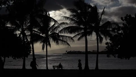 Hawaiian Sunset 1433 스톡 동영상 7941558