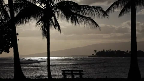 Hawaiian Sunset 1437 Stock Footage 7953552
