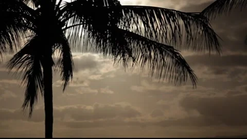 Hawaiian Sunset 1444 Stock Footage 8022334