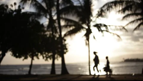 Hawaiian Sunset 1446 Stock Footage