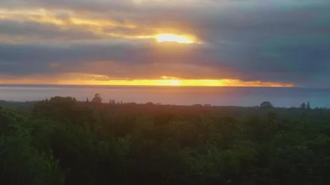 Hawaiian Sunset Over Lush Botanical Garden Stock Footage 317132453