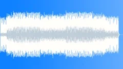 Hawaiian Vibes(Alternative Version) Stock Music