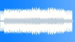 Hawaiian Vibes(Instrumental)Stock Music