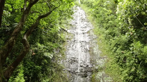 Hawaiian Waterfall 01 Stock Footage 44654763