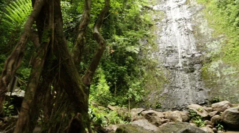 Hawaiian Waterfall 03 Stock Footage 44659238