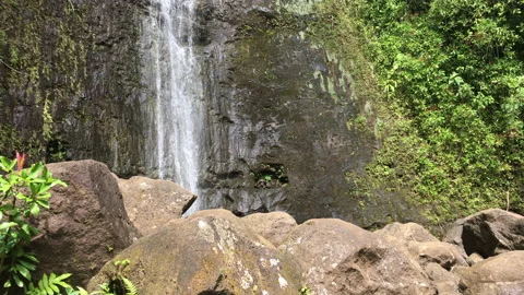Hawaiian Waterfall 2 動画素材 143013866