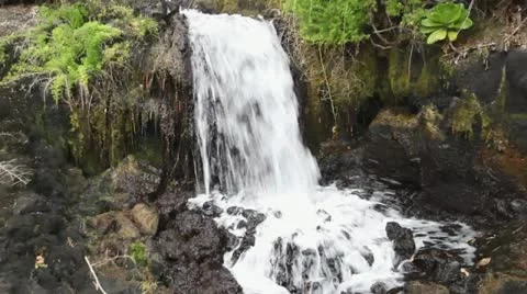 Hawaiian Waterfall Stock Footage 11330171
