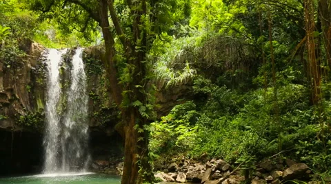 Hawaiian Waterfall Stock Footage 52992644