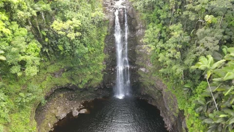 Hawaiian Waterfall 動画素材 221715396