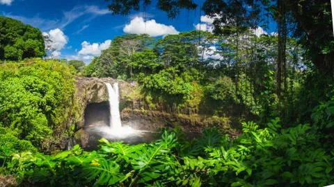 Hawaiian Waterfall Stock-Fotos